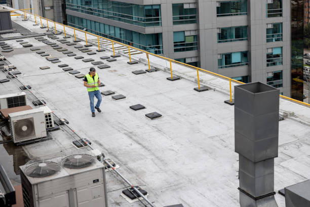 Best Roof Ventilation Installation  in Plainfield, IL