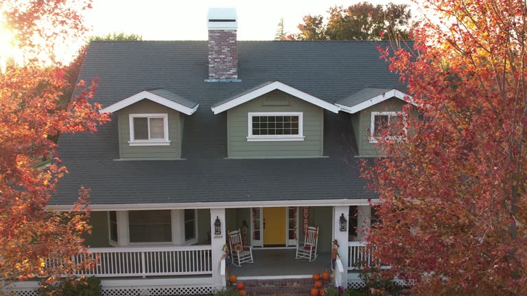 Best Slate Roofing  in Plainfield, IL
