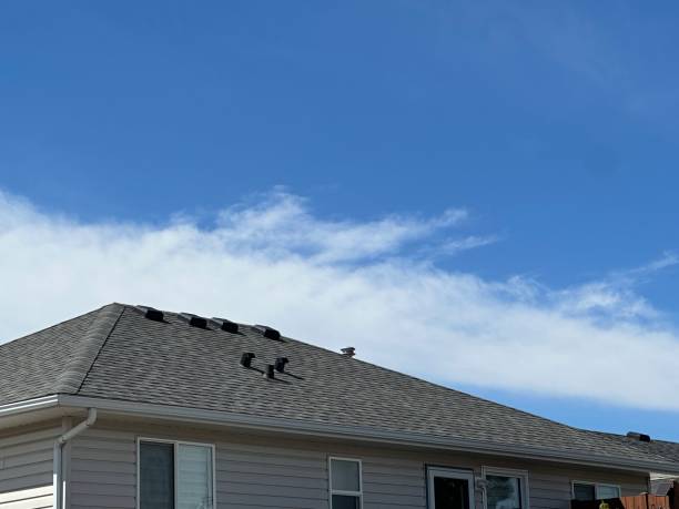 Best Hot Roofs  in Plainfield, IL